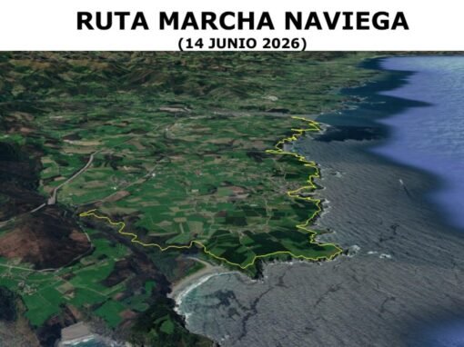RUTA MARCHA NAVIEGA | 14 de junio 2026